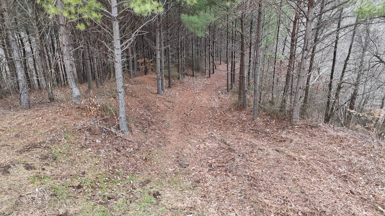 2932 Old Hohenwald Rd - Photo 1