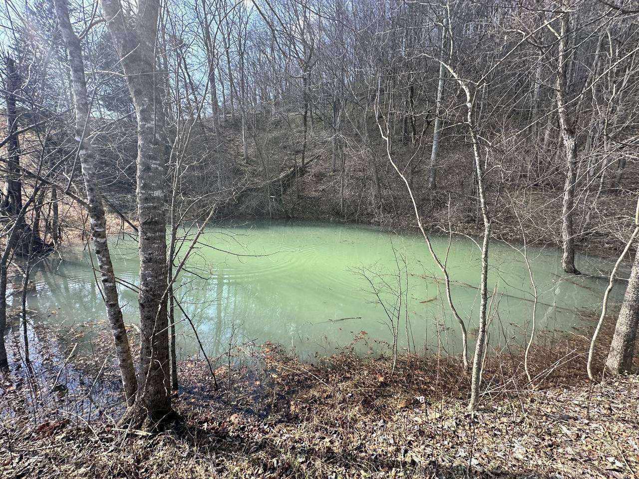 https://bt-photos.global.ssl.fastly.net/nashville/orig_boomver_1_RTC3314371-1.jpg