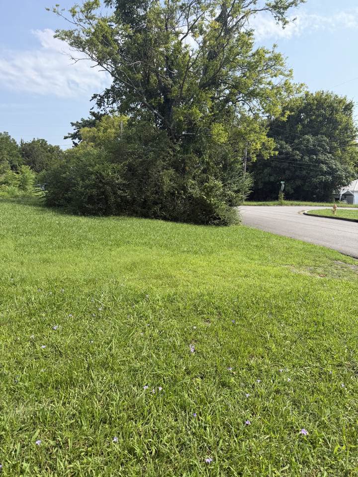https://bt-photos.global.ssl.fastly.net/nashville/1280_boomver_1_RTC3314452-1.jpg