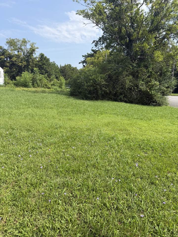https://bt-photos.global.ssl.fastly.net/nashville/1280_boomver_1_RTC3314452-1.jpg