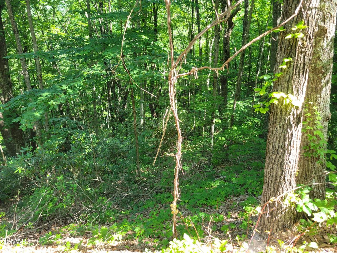 https://bt-photos.global.ssl.fastly.net/nashville/1280_boomver_1_RTC3314605-1.jpg