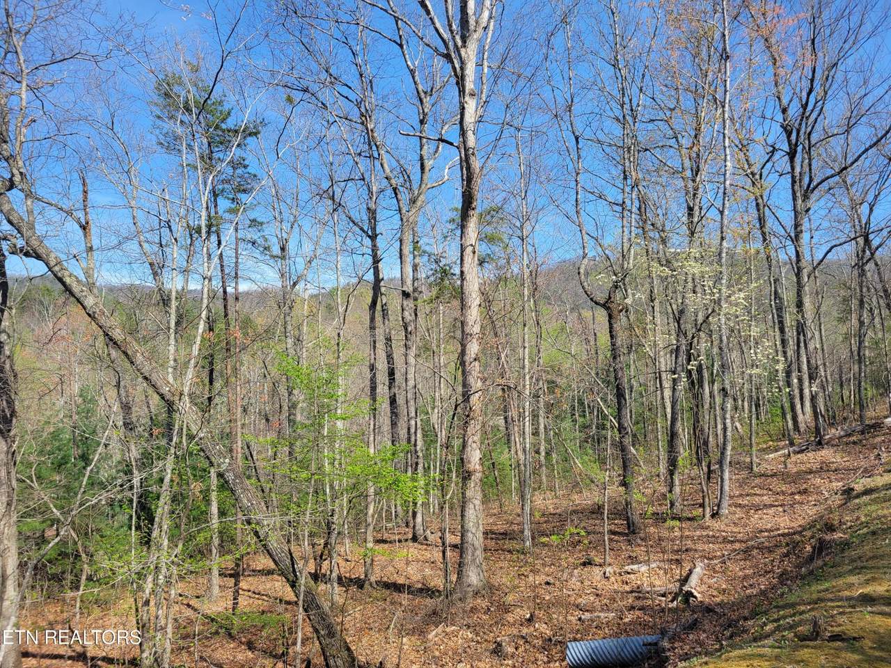 10 Black Oak Drive - Photo 1