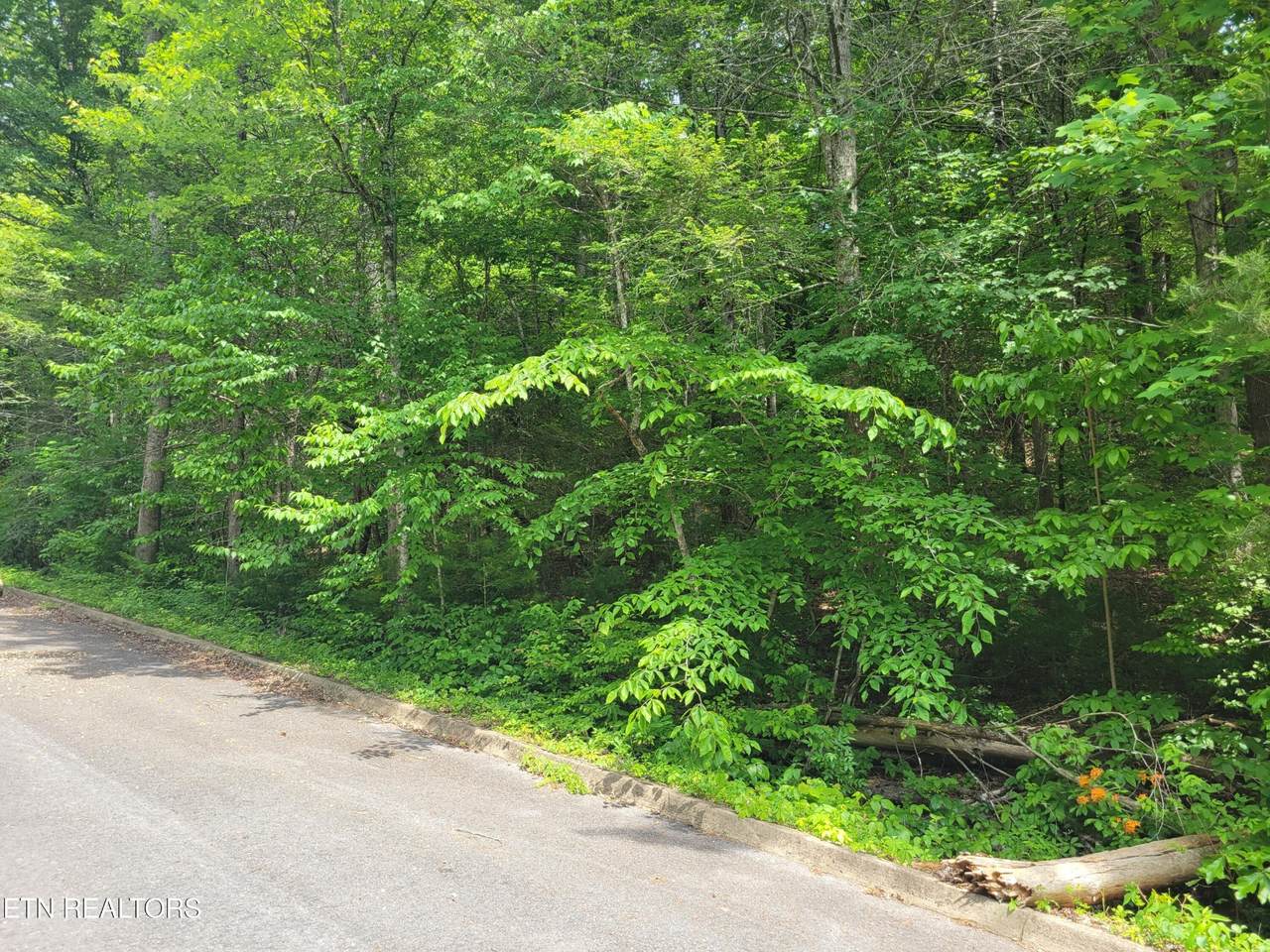 https://bt-photos.global.ssl.fastly.net/nashville/1280_boomver_1_RTC3314613-1.jpg