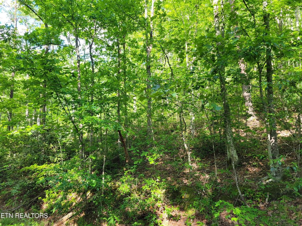 https://bt-photos.global.ssl.fastly.net/nashville/1280_boomver_1_RTC3314616-1.jpg