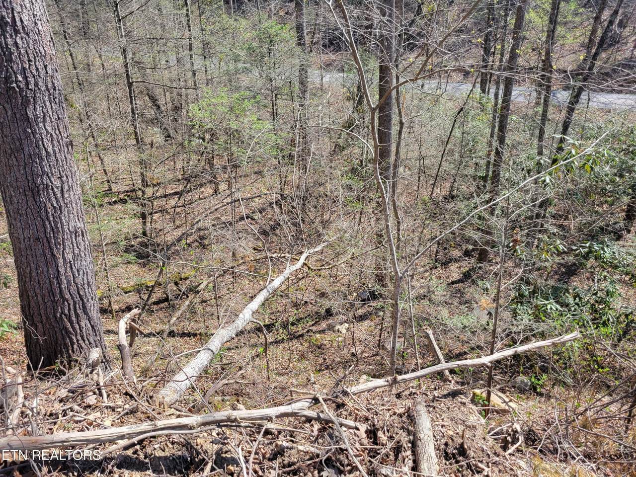 https://bt-photos.global.ssl.fastly.net/nashville/1280_boomver_1_RTC3314617-1.jpg