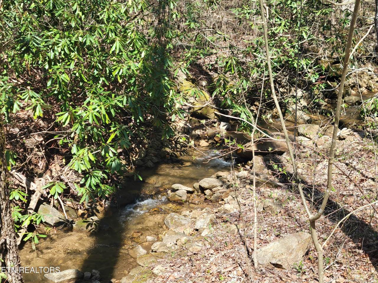 https://bt-photos.global.ssl.fastly.net/nashville/1280_boomver_1_RTC3314617-1.jpg