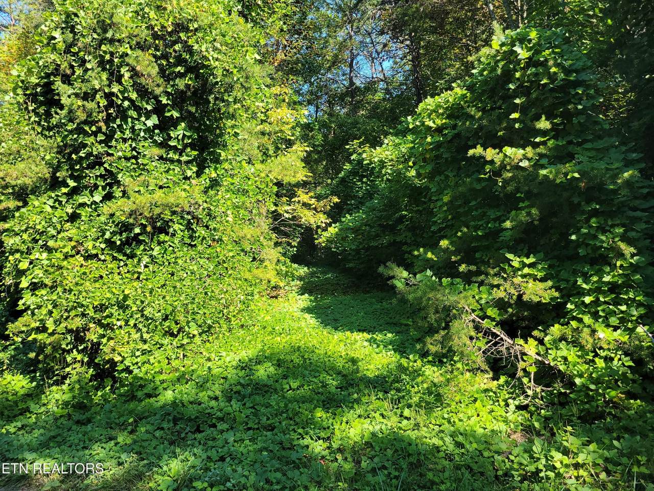 https://bt-photos.global.ssl.fastly.net/nashville/1280_boomver_1_RTC3314618-1.jpg