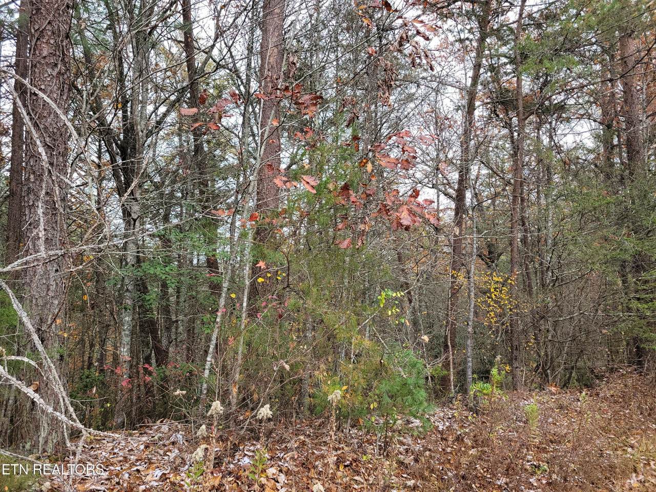 https://bt-photos.global.ssl.fastly.net/nashville/1280_boomver_1_RTC3314619-1.jpg