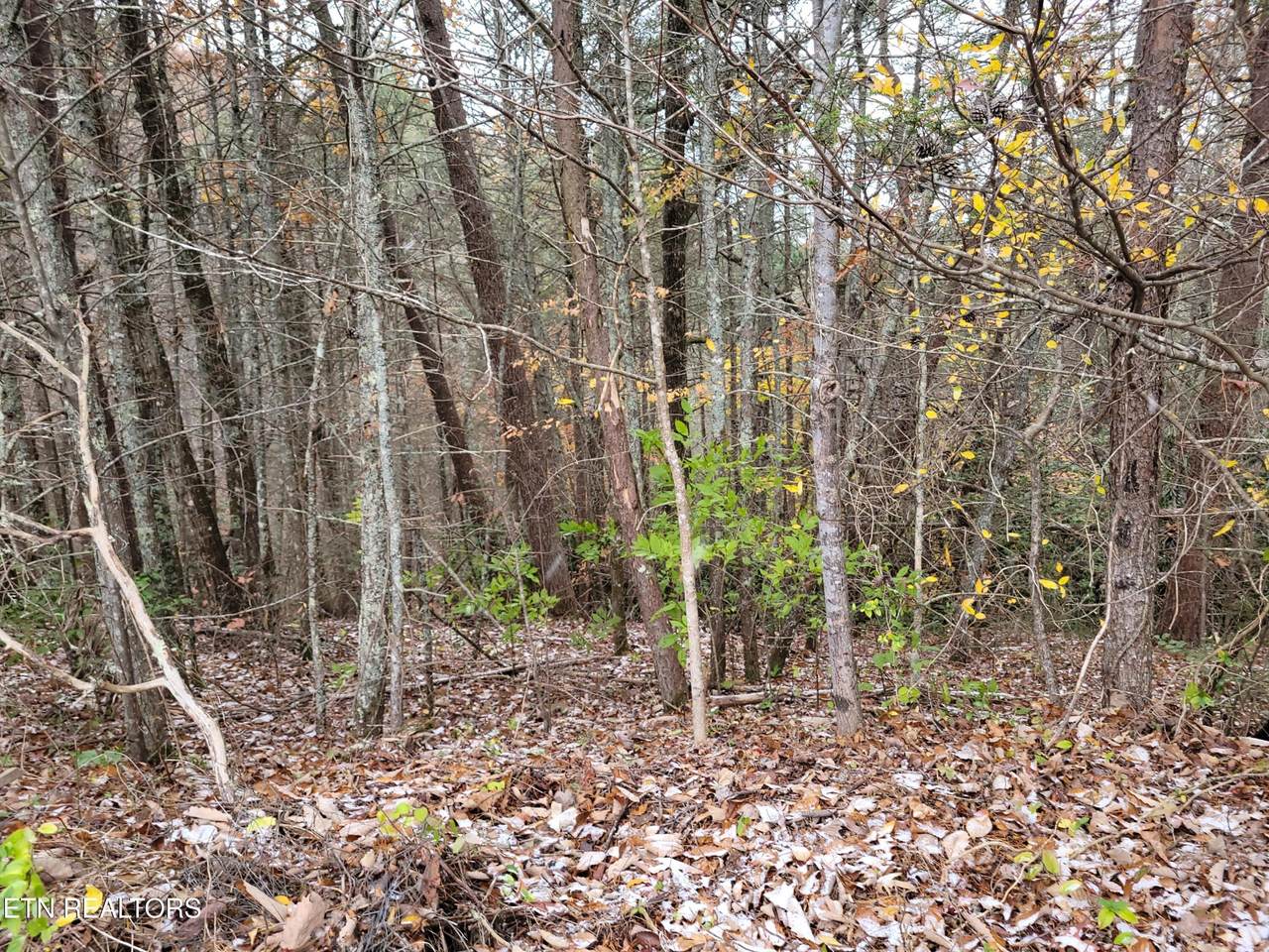 https://bt-photos.global.ssl.fastly.net/nashville/1280_boomver_1_RTC3314619-1.jpg