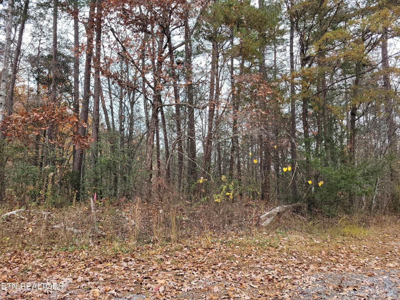 https://bt-photos.global.ssl.fastly.net/nashville/1280_boomver_1_RTC3314619-1.jpg