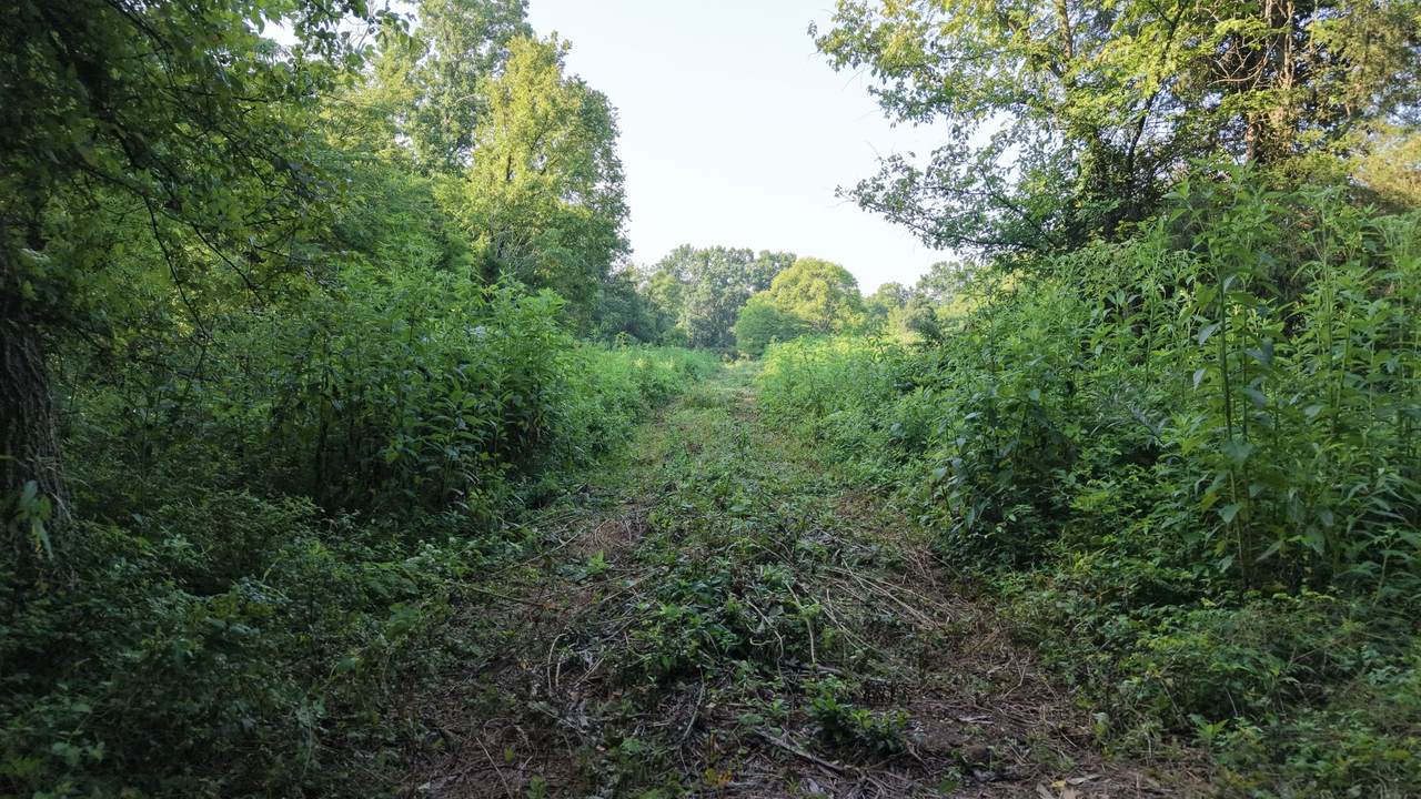 https://bt-photos.global.ssl.fastly.net/nashville/1280_boomver_1_RTC3316046-1.jpg