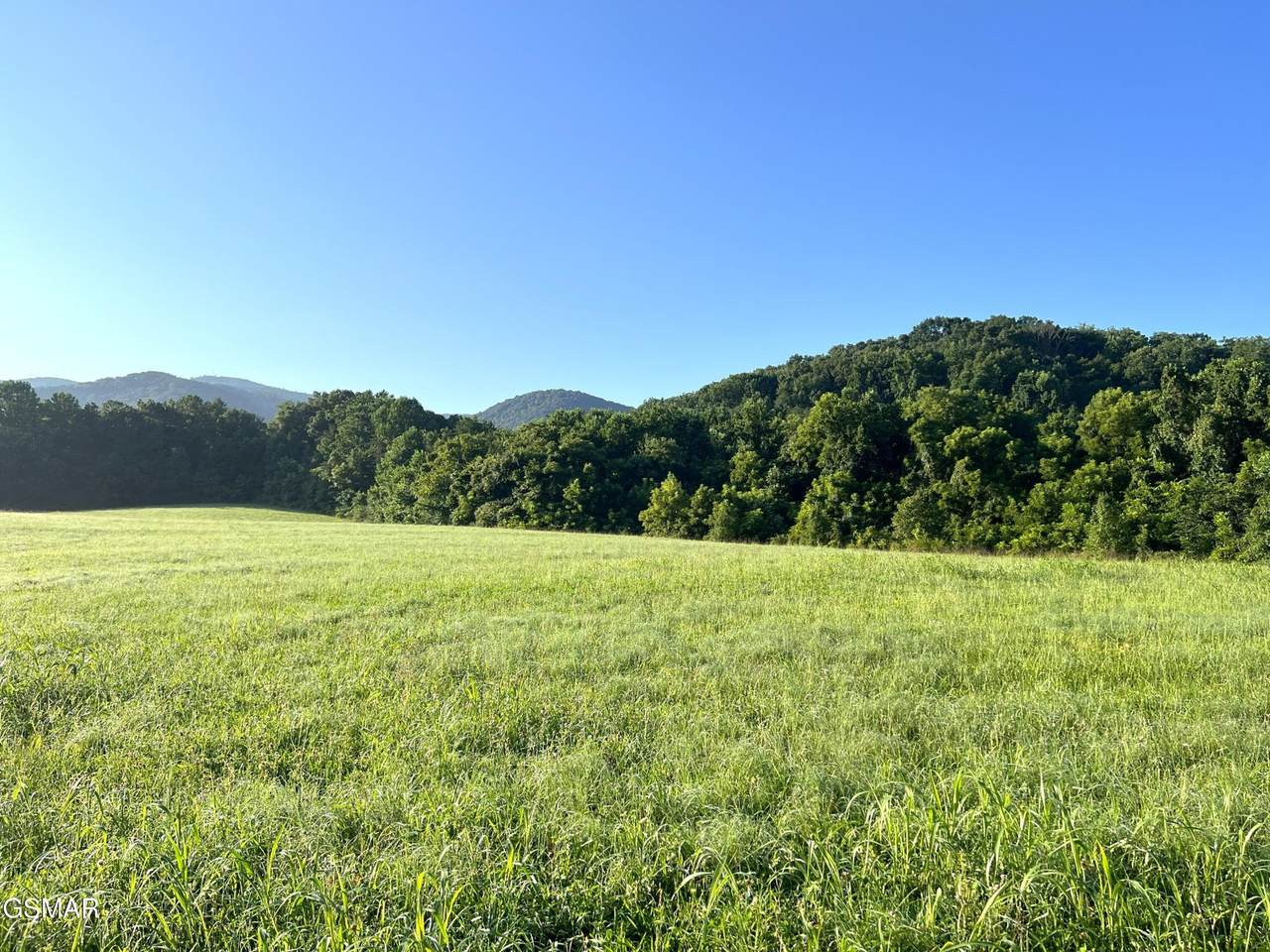 https://bt-photos.global.ssl.fastly.net/nashville/1280_boomver_1_RTC3316286-1.jpg