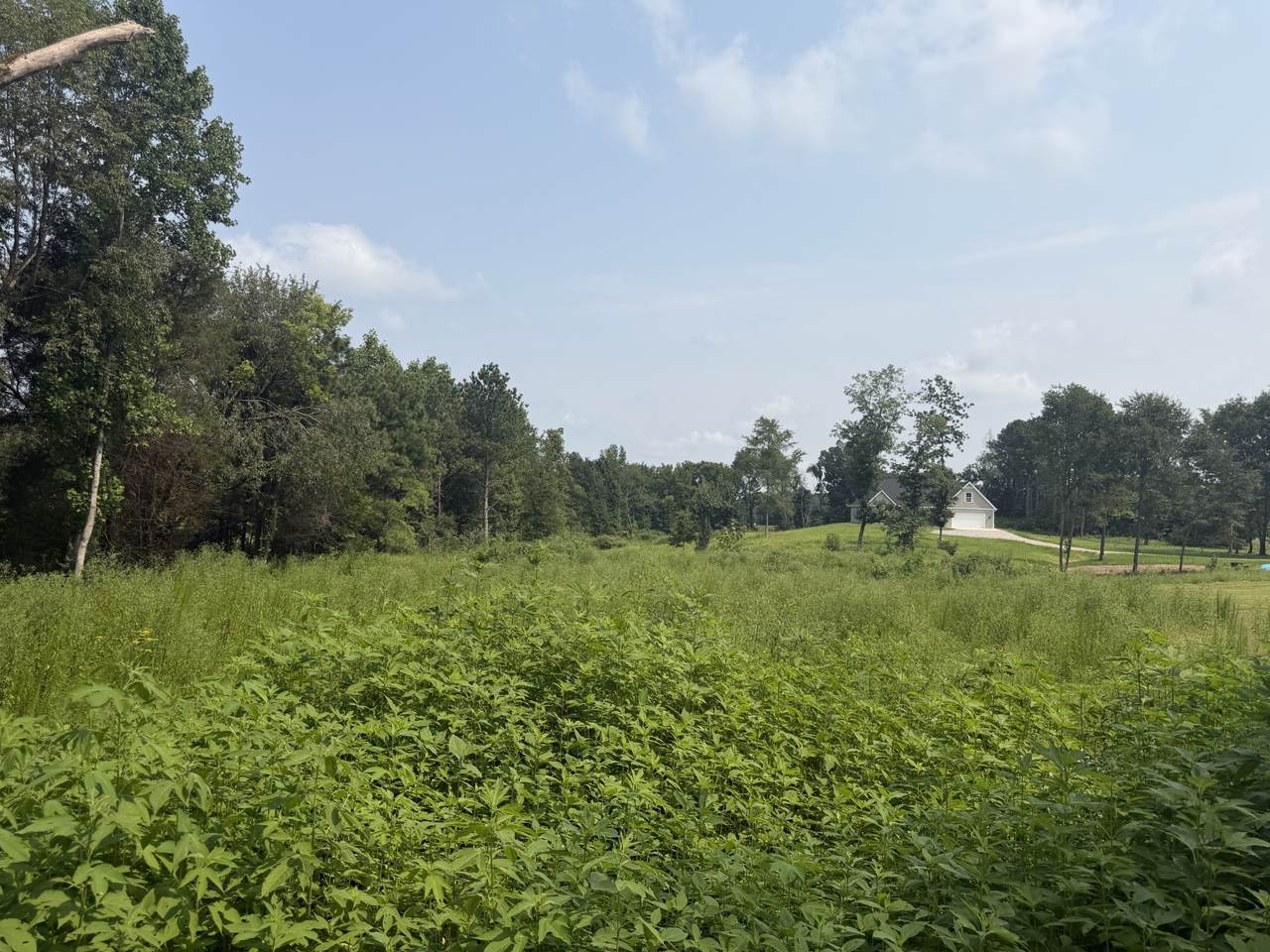 https://bt-photos.global.ssl.fastly.net/nashville/1280_boomver_1_RTC3318452-1.jpg