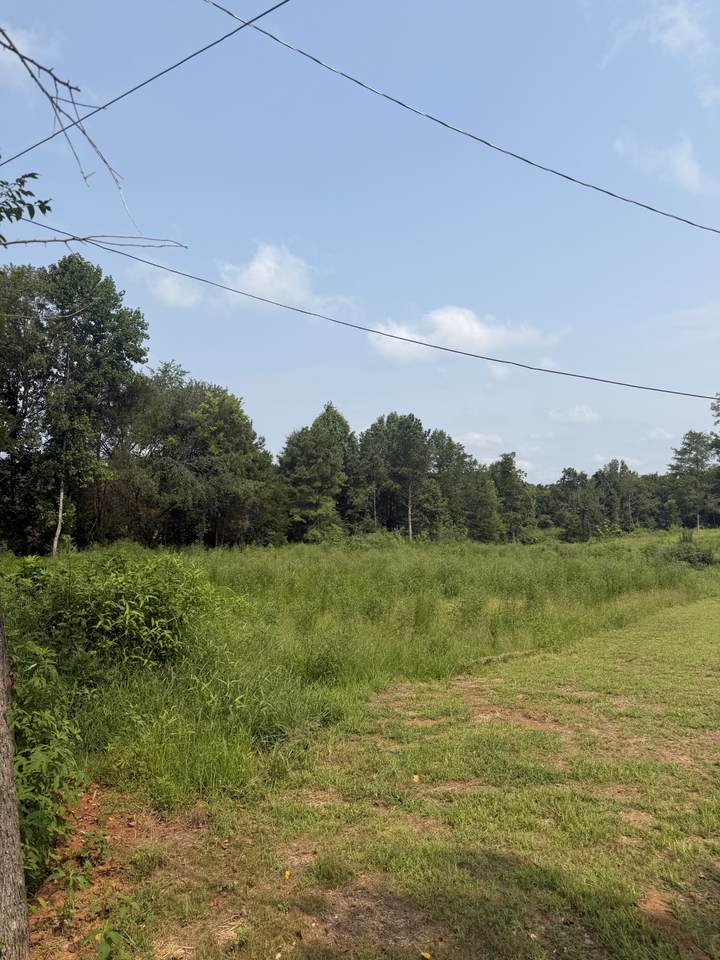https://bt-photos.global.ssl.fastly.net/nashville/1280_boomver_1_RTC3318452-1.jpg