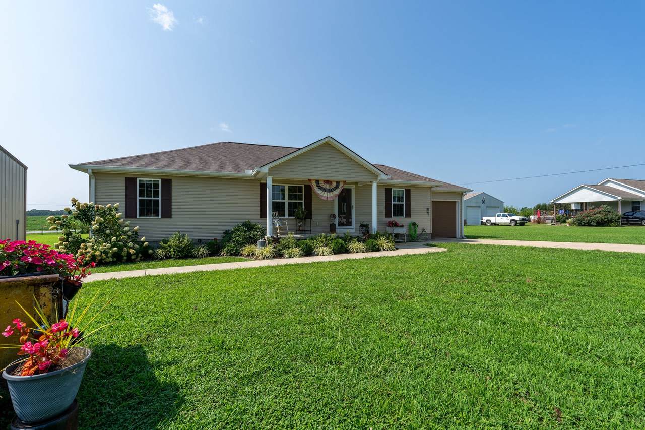 97 Brace Loop - Photo 1