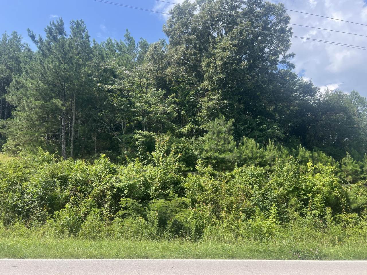 6999 Three Notch Road - Photo 1