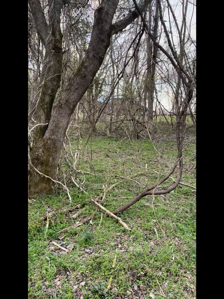 https://bt-photos.global.ssl.fastly.net/nashville/1280_boomver_1_RTC3319969-1.jpg