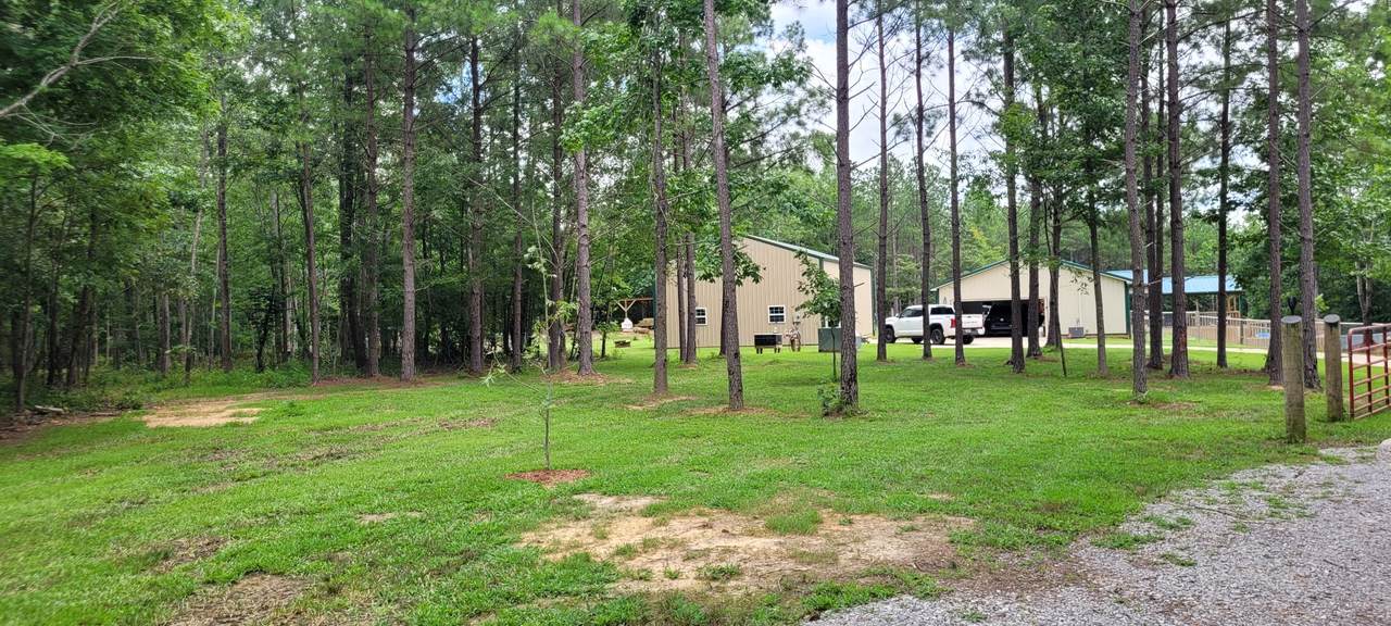 167 Freeman Fielder Rd - Photo 1