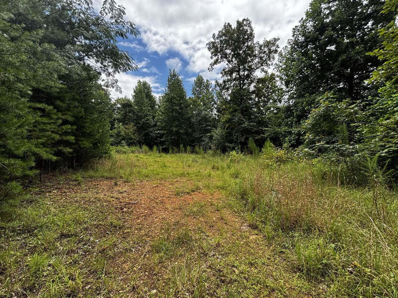 0 Orme Mountain Road - Photo 1