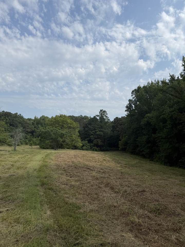 https://bt-photos.global.ssl.fastly.net/nashville/1280_boomver_1_RTC3320101-1.jpg