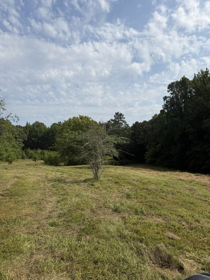 https://bt-photos.global.ssl.fastly.net/nashville/1280_boomver_1_RTC3320101-1.jpg