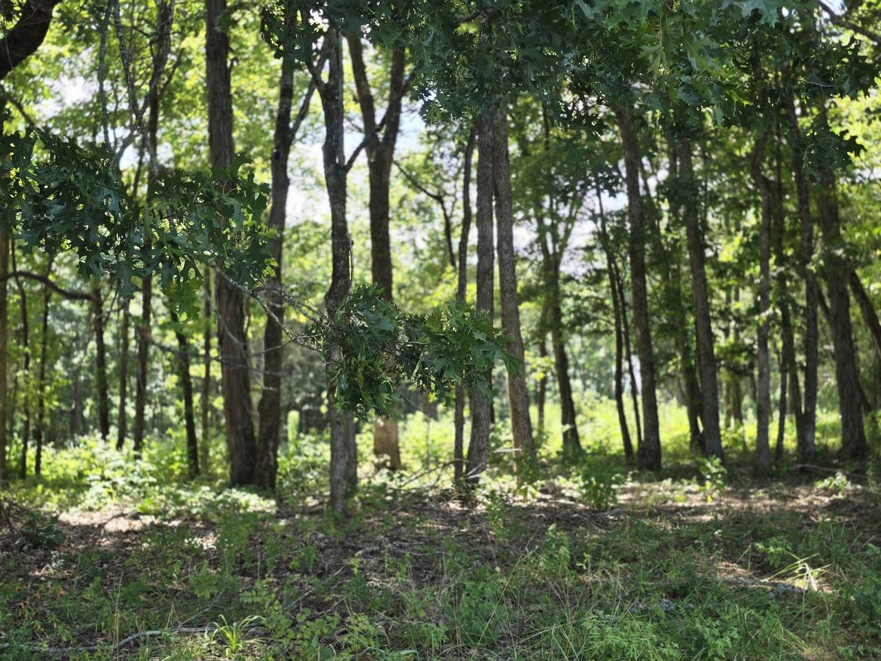 https://bt-photos.global.ssl.fastly.net/nashville/1280_boomver_1_RTC3320214-1.jpg