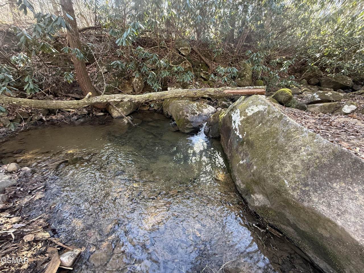 805 Bogard Creek Road - Photo 1