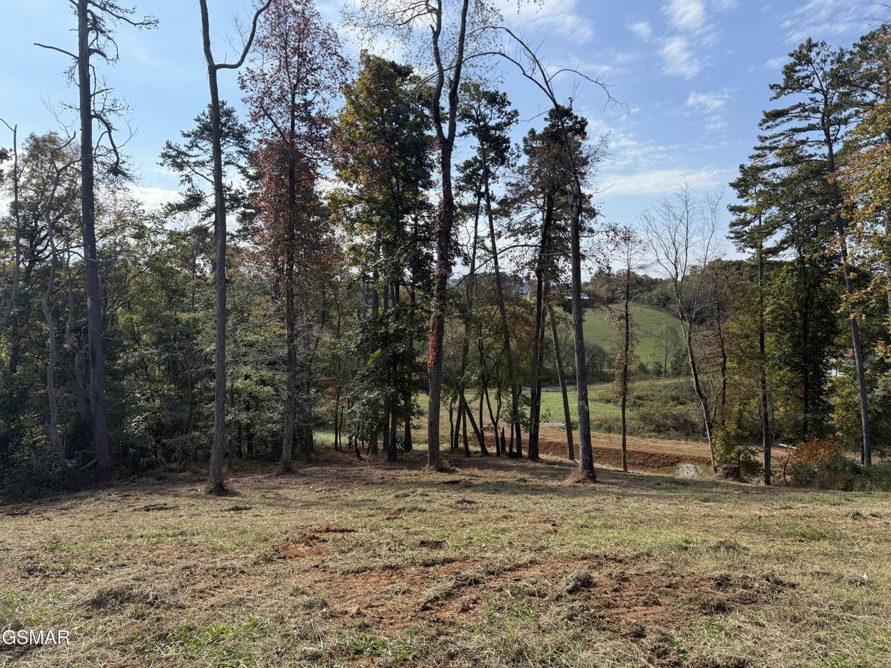 https://bt-photos.global.ssl.fastly.net/nashville/1280_boomver_1_RTC3320286-1.jpg
