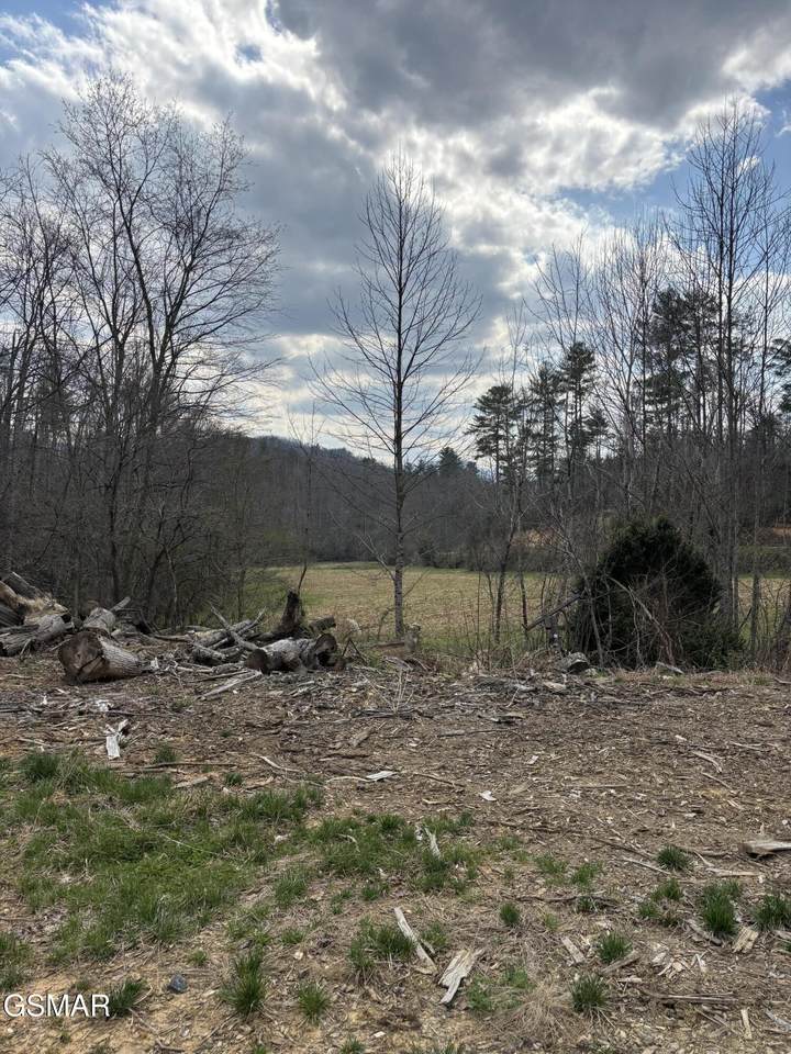 https://bt-photos.global.ssl.fastly.net/nashville/1280_boomver_1_RTC3320304-1.jpg
