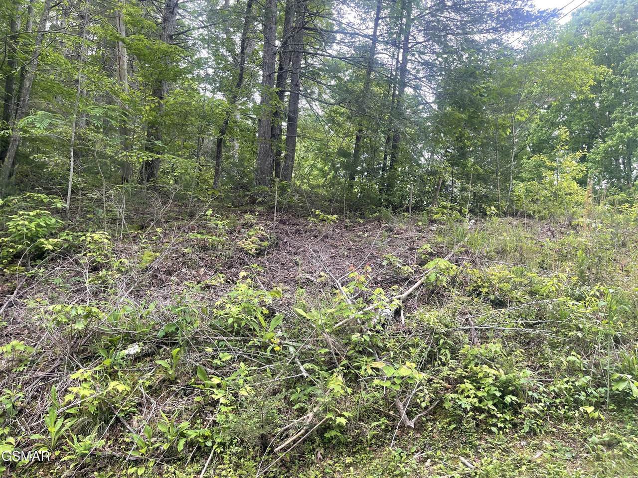 https://bt-photos.global.ssl.fastly.net/nashville/1280_boomver_1_RTC3320308-1.jpg