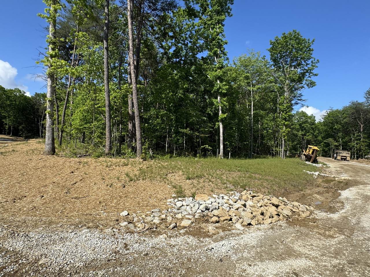 0 Woodly Branch Rd - Photo 1