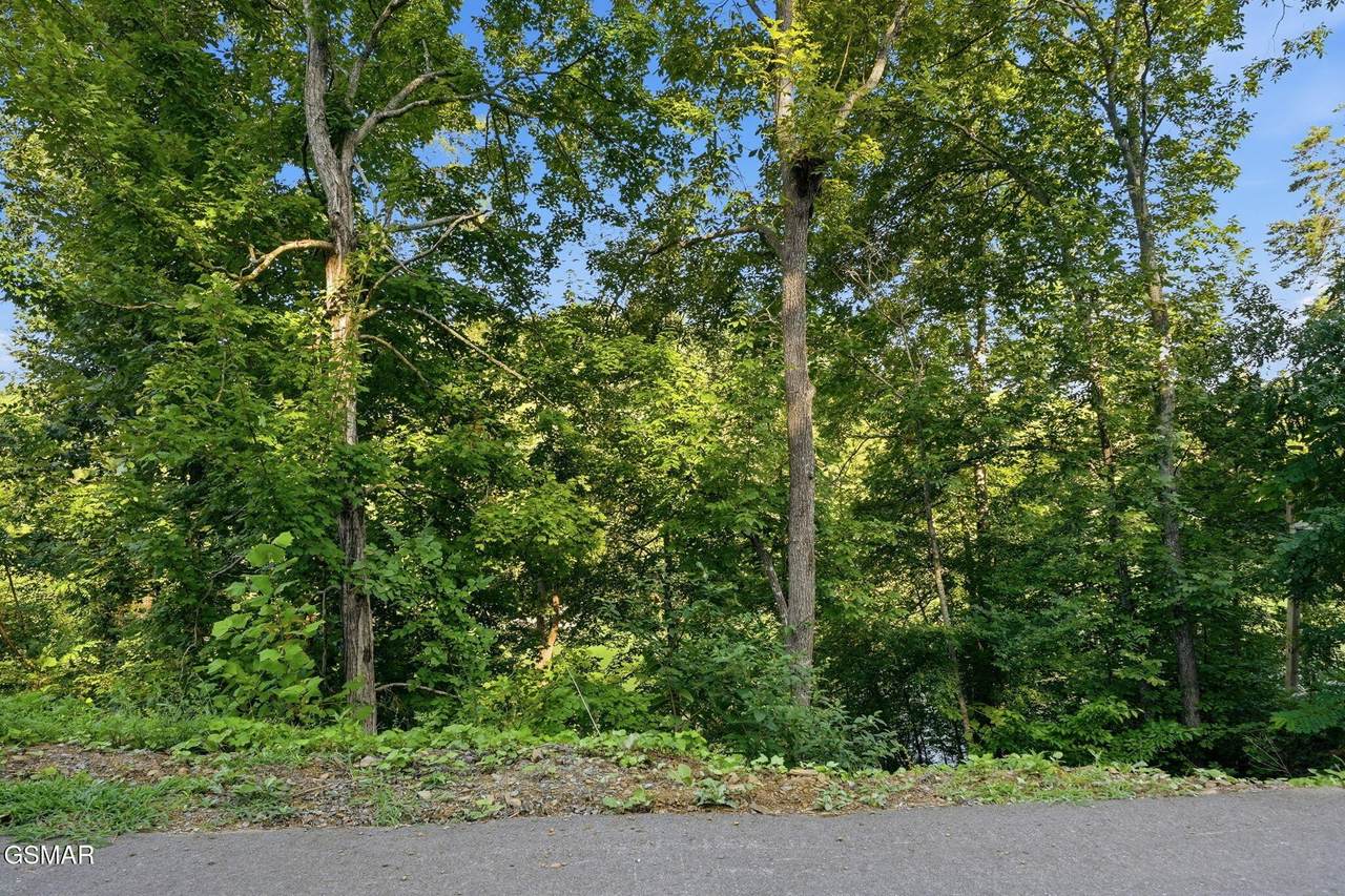https://bt-photos.global.ssl.fastly.net/nashville/1280_boomver_1_RTC3320650-1.jpg