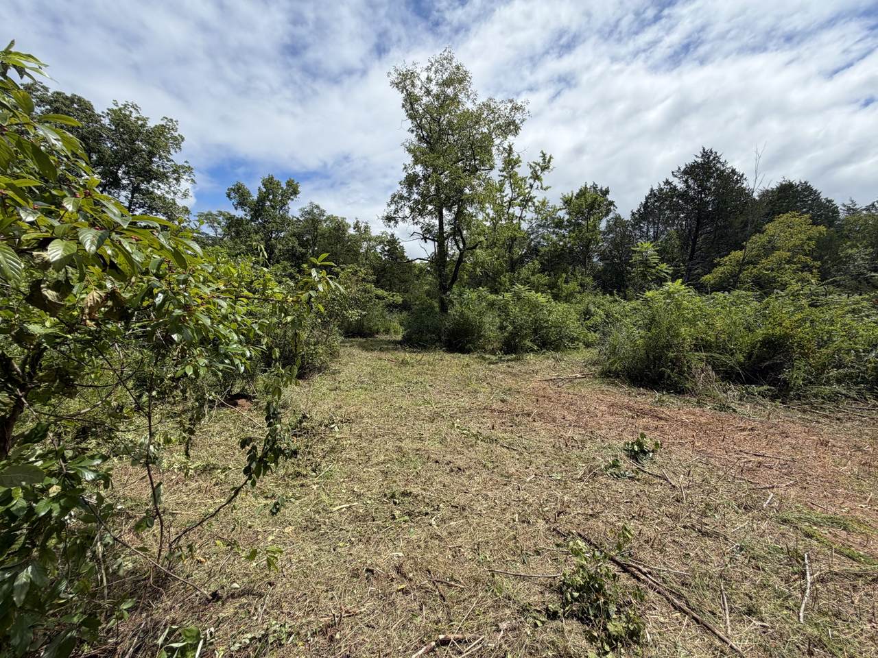 0 Woodbury Pike - Photo 1