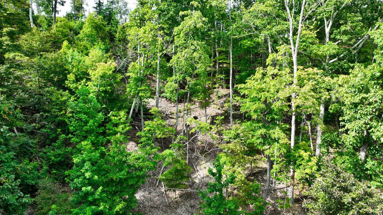 57 Ridge Top Rd - Photo 1