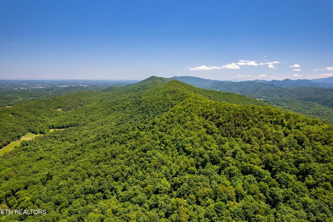 0 Butterfly Gap Rd - Photo 1