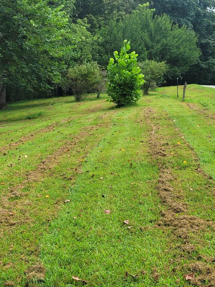 https://bt-photos.global.ssl.fastly.net/nashville/1280_boomver_1_RTC3323816-1.jpg