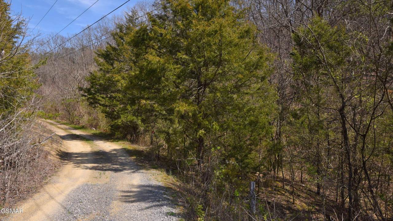 912 Cooley King Road - Photo 1