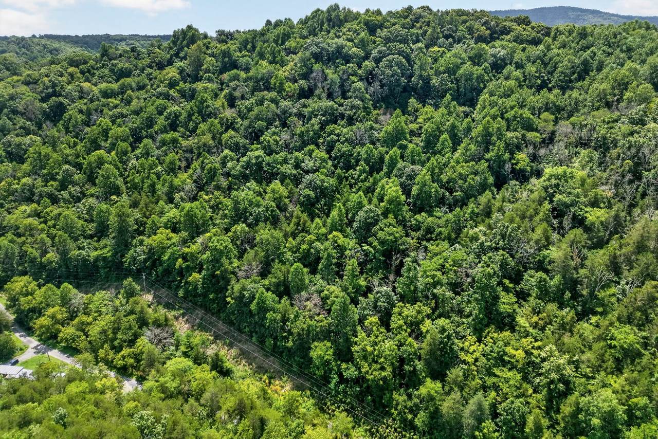 2949 Wilmouth Creek Rd - Photo 1