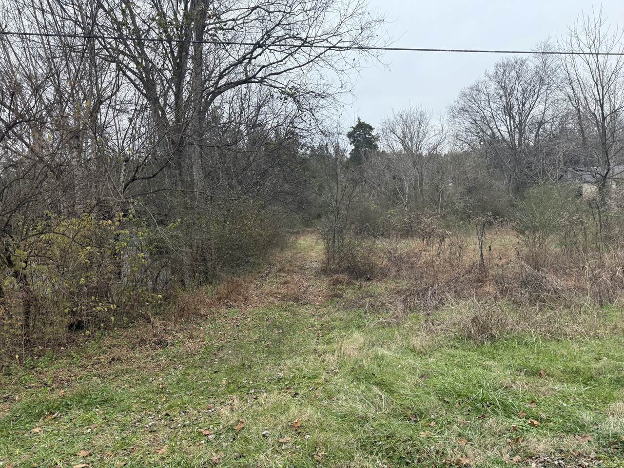 0 Lewis Rd - Photo 1