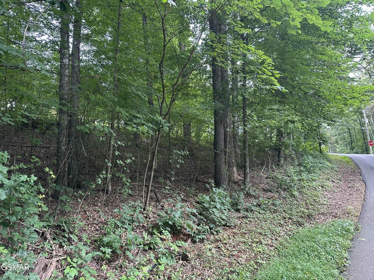 75 Highpoint Drive - Photo 1