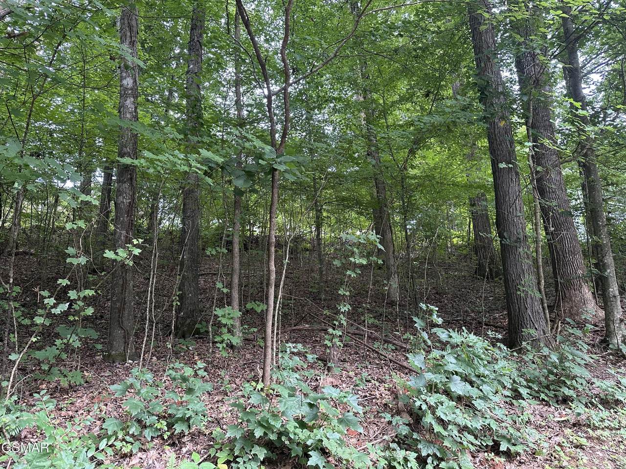 https://bt-photos.global.ssl.fastly.net/nashville/1280_boomver_1_RTC3336321-1.jpg