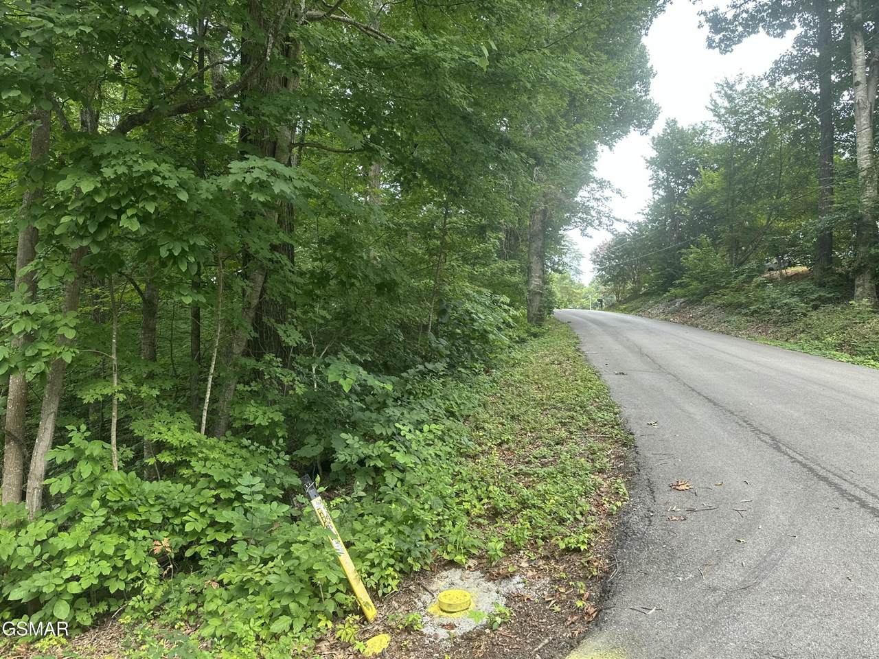 https://bt-photos.global.ssl.fastly.net/nashville/1280_boomver_1_RTC3336321-1.jpg