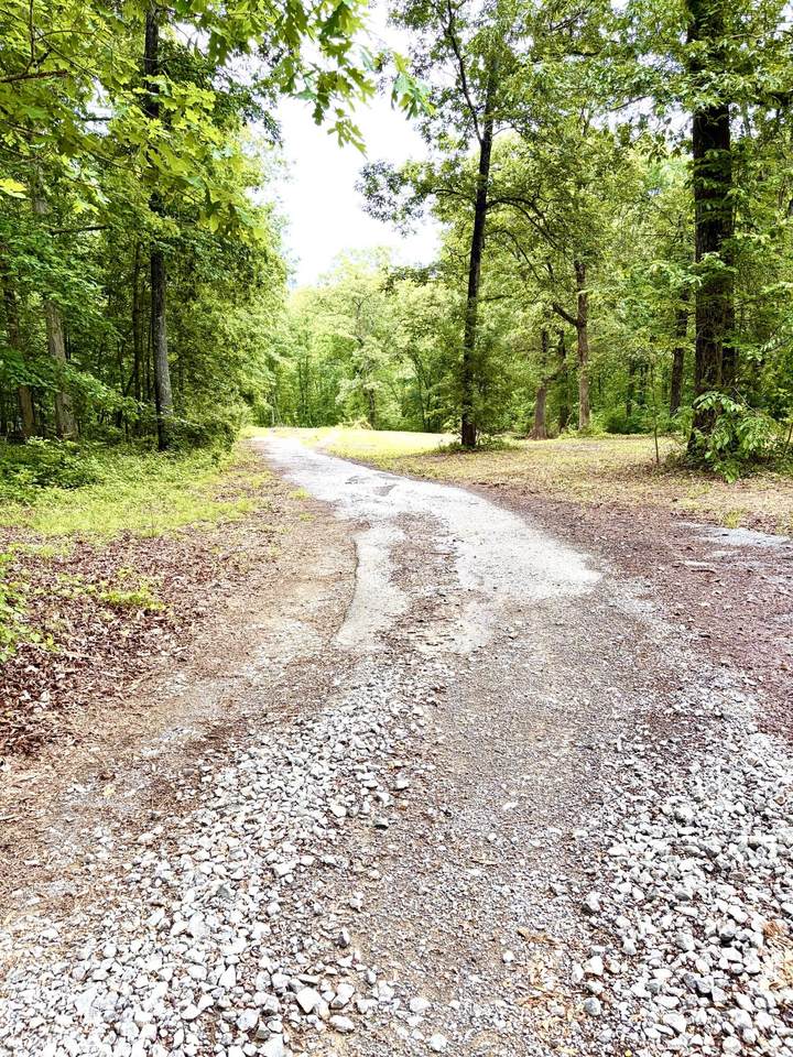 https://bt-photos.global.ssl.fastly.net/nashville/1280_boomver_1_RTC3337000-1.jpg