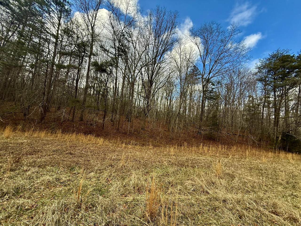 https://bt-photos.global.ssl.fastly.net/nashville/1280_boomver_1_RTC3337288-1.jpg