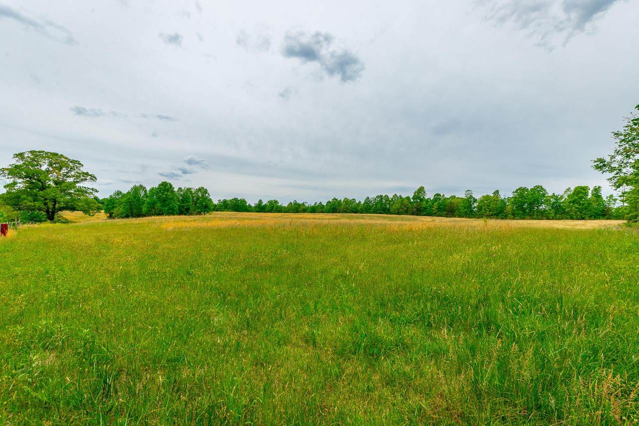0 Ray Gadd Road - Photo 1