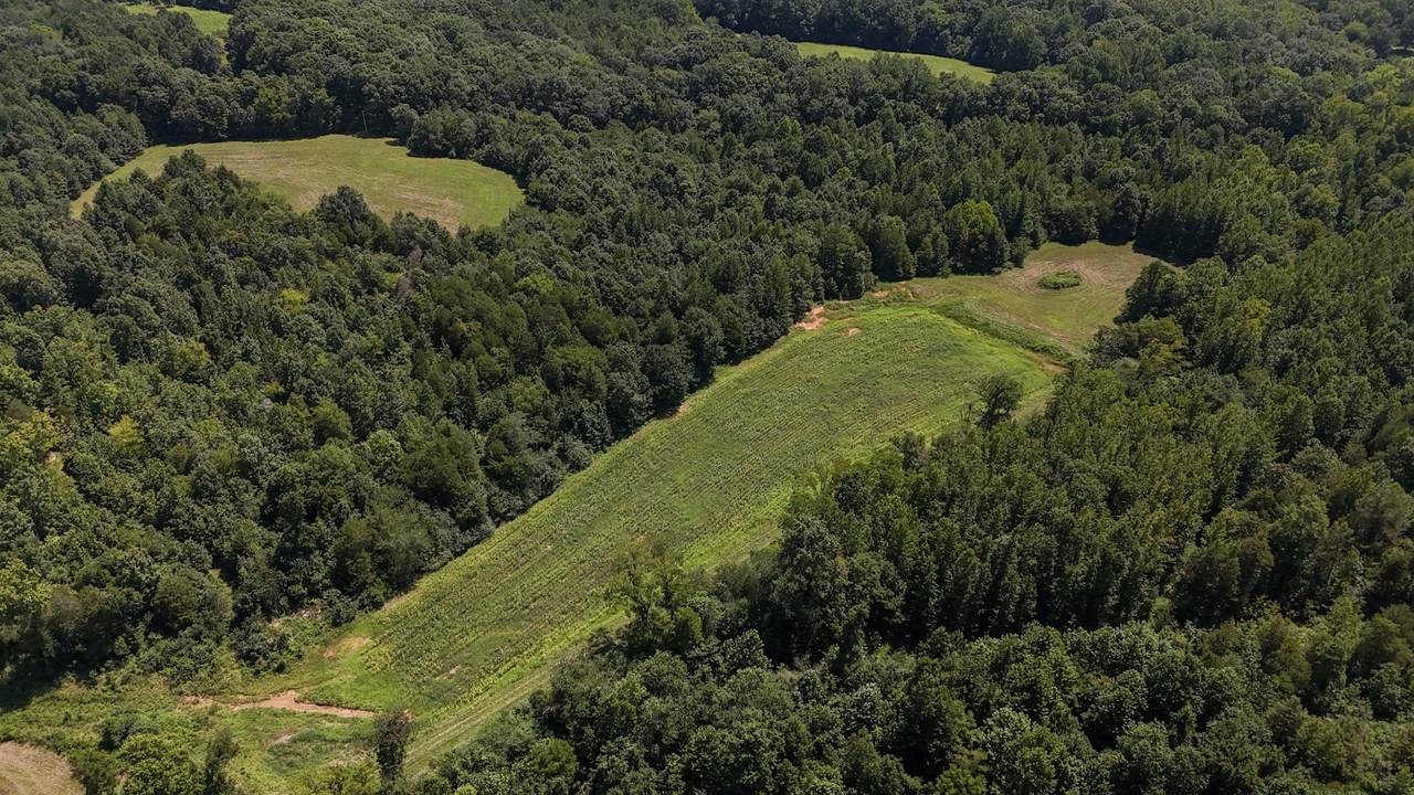 0 Hwy 69S - Photo 1