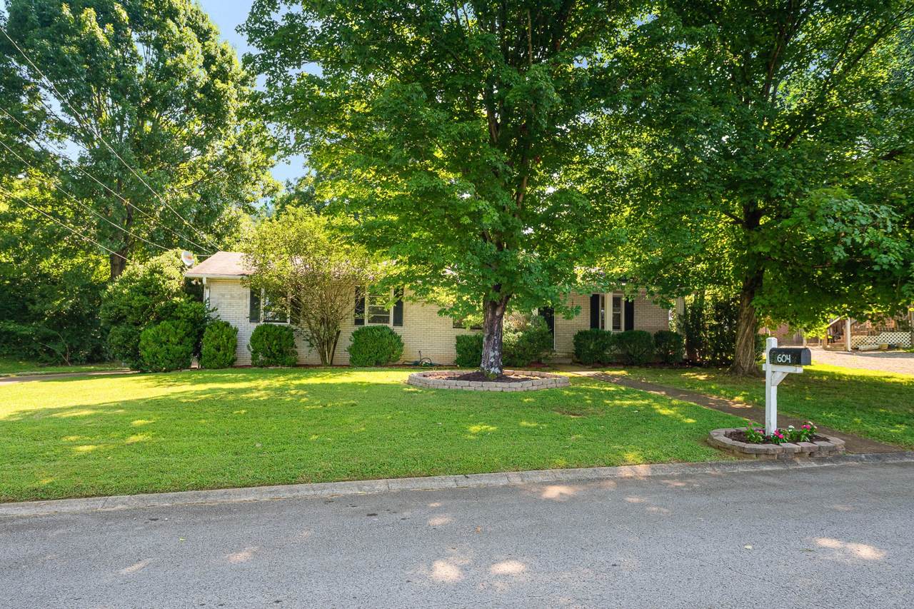 604 Meadow Lane Dr - Photo 1