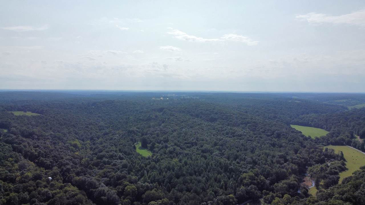 https://bt-photos.global.ssl.fastly.net/nashville/1280_boomver_1_RTC3499775-1.jpg