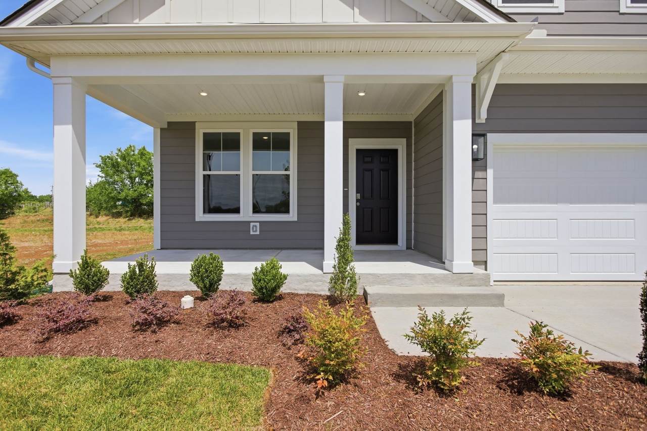 336 Black Bear Drive - Photo 1