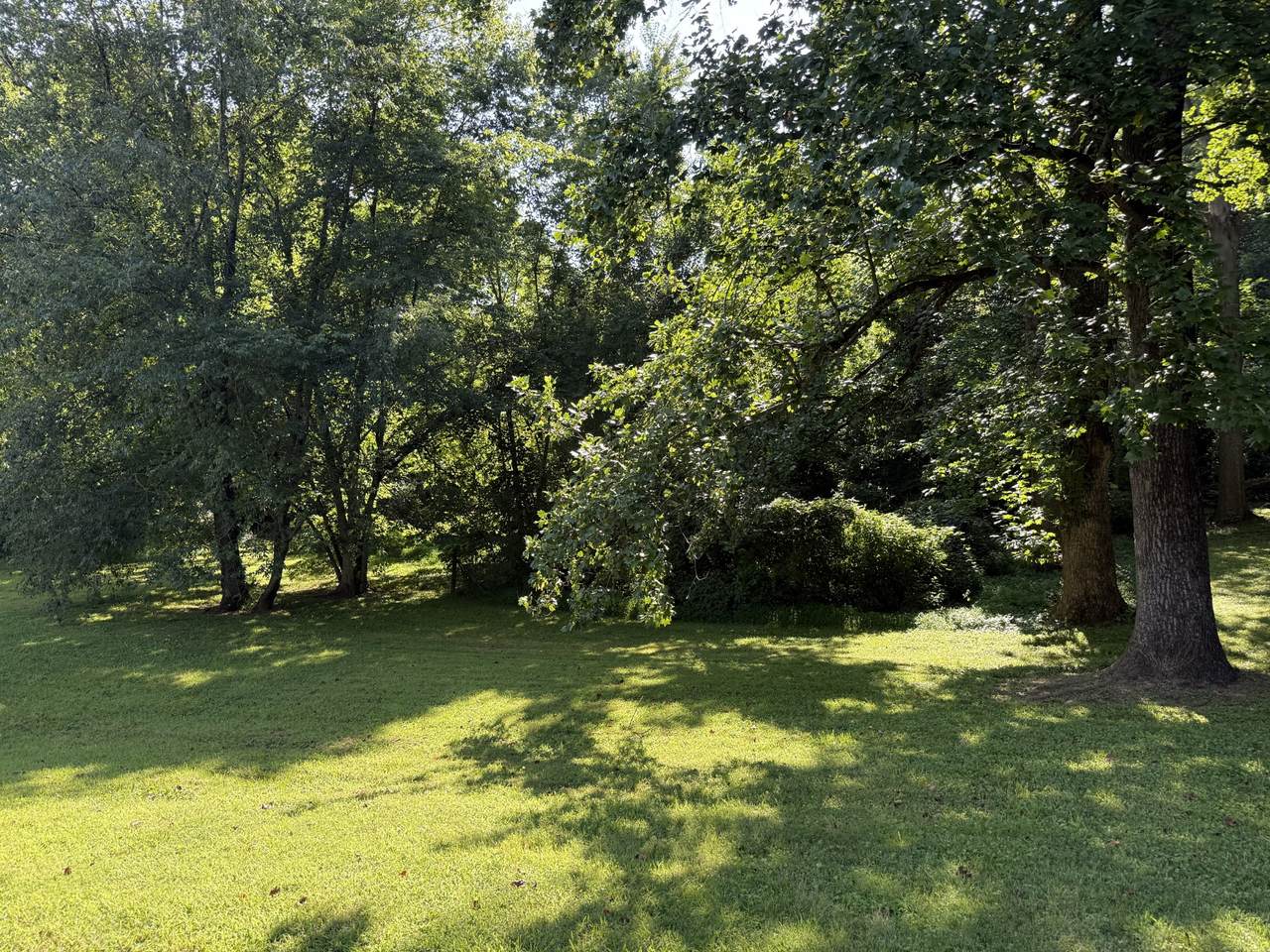 0 Azalea Dr - Photo 1